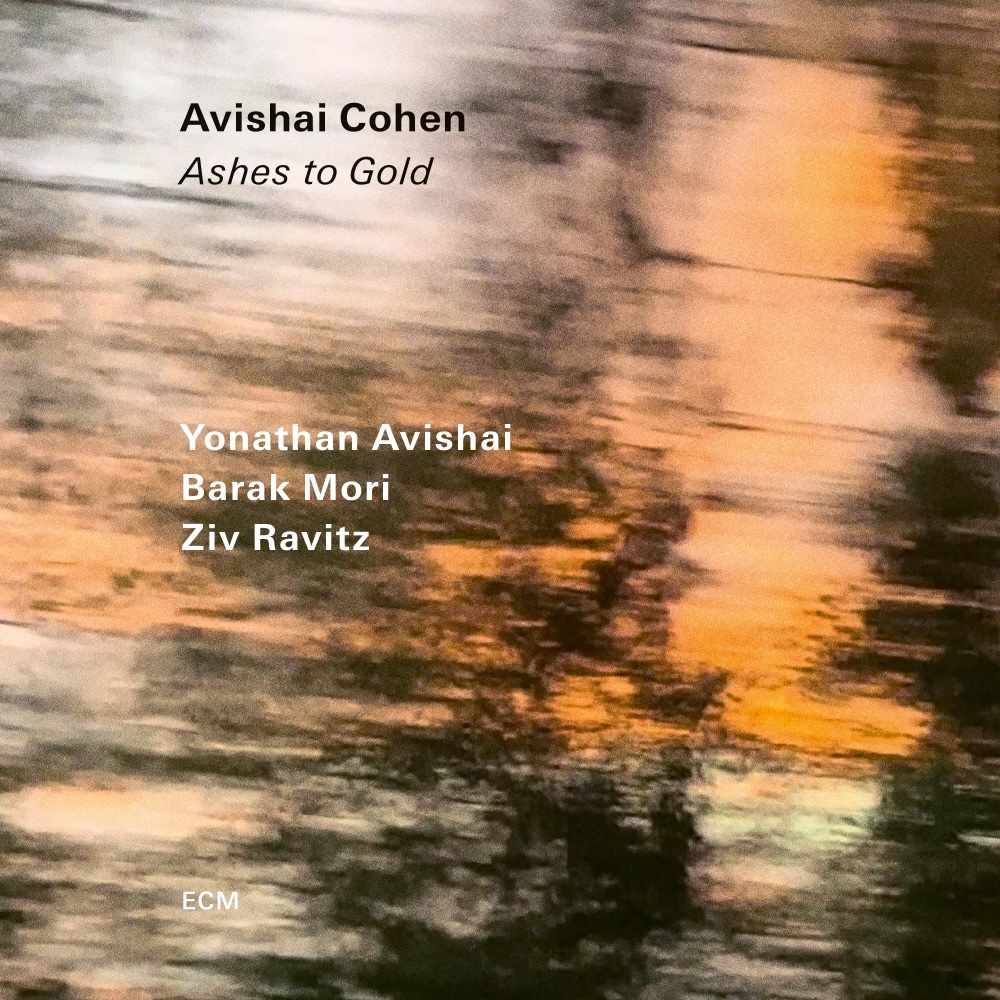 Ashes to Gold album cover